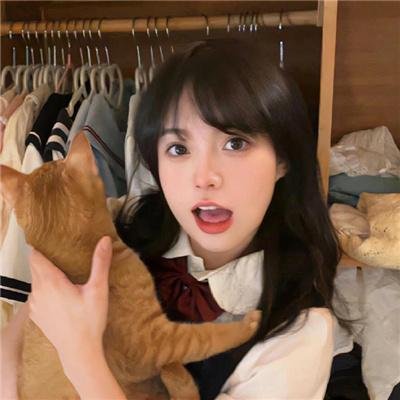 完美的主人